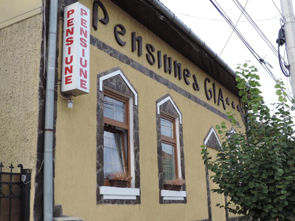Pensiunea Gia Sighisoara Luaran gambar